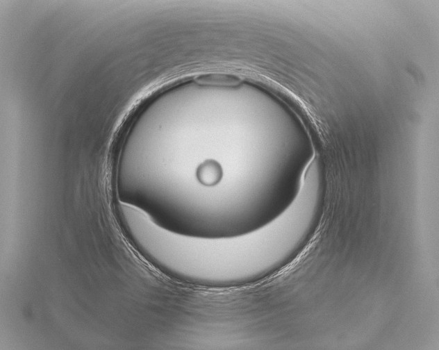 X0000115771506200912041421