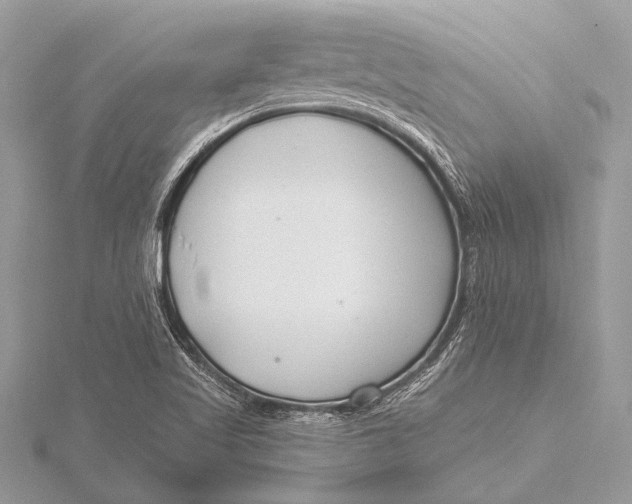 X0000115771509200912041421