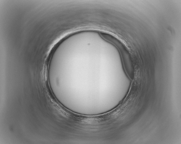 X0000115771510200912041421