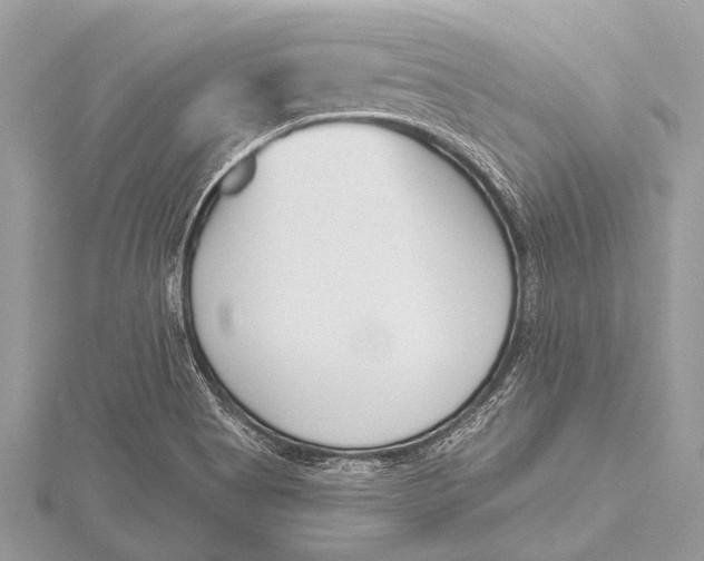 X0000115771513200912041421