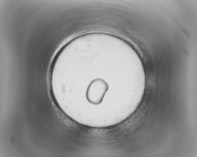 X0000115771514200912041421