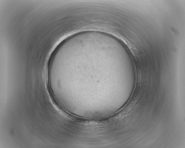 X0000115771515200912041421