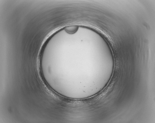 X0000115771517200912041421