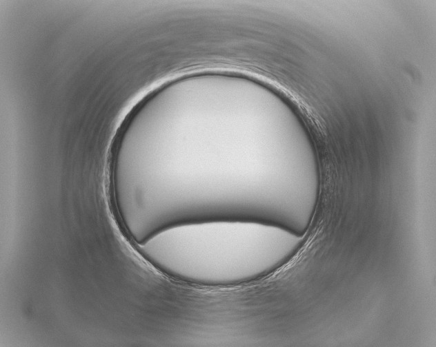 X0000115771518200912041421