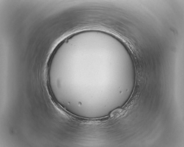 X0000115771519200912041421