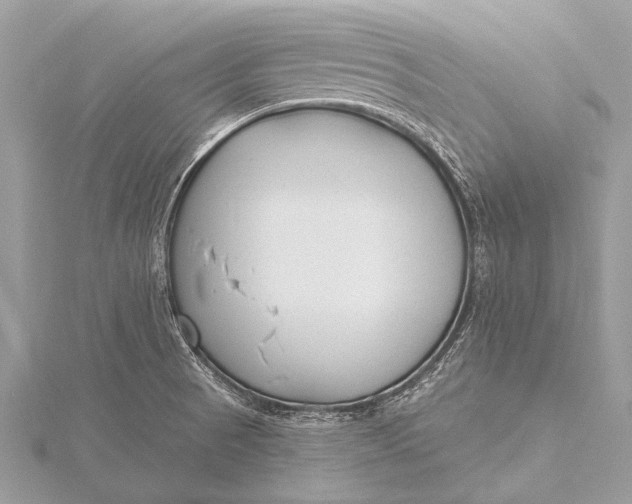 X0000115771521200912041421