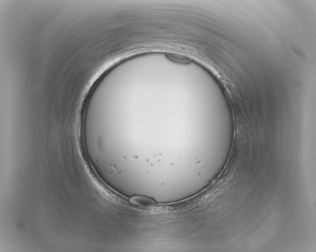 X0000115771523200912041421