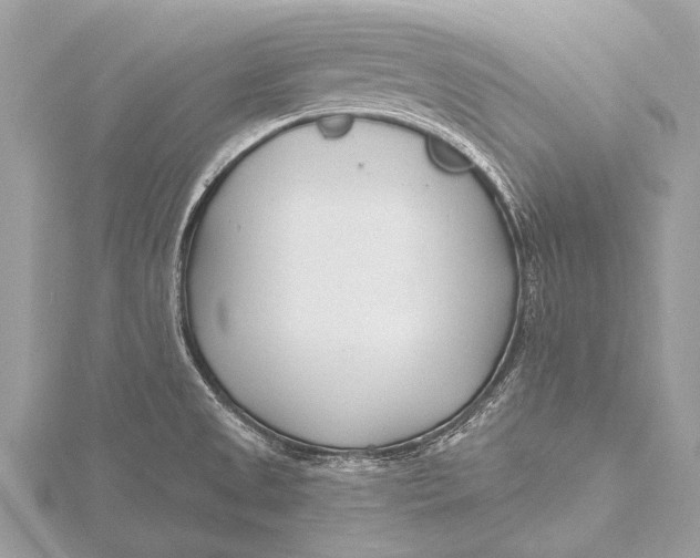 X0000115771525200912041421