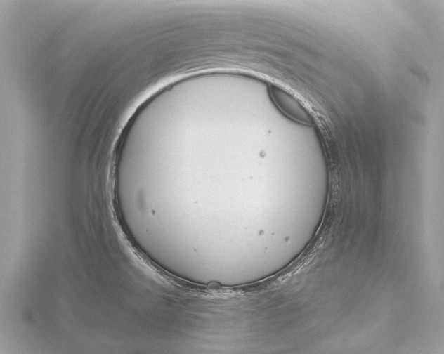 X0000115771526200912041421