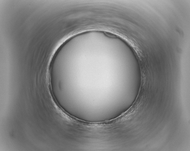 X0000115771527200912041421