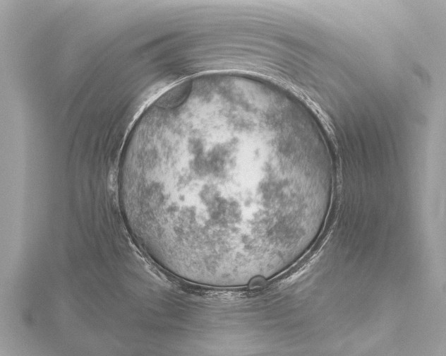 X0000115771529200912041421