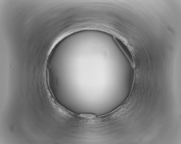 X0000115771530200912041421