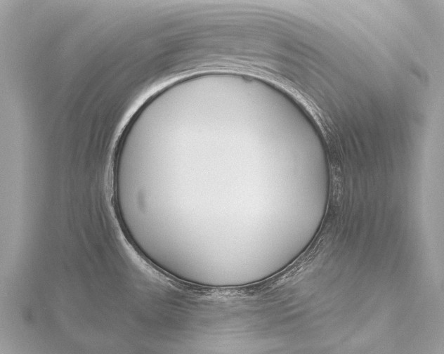 X0000115771531200912041421