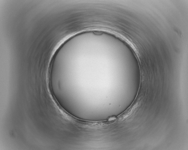 X0000115771533200912041421