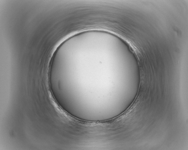 X0000115771534200912041421