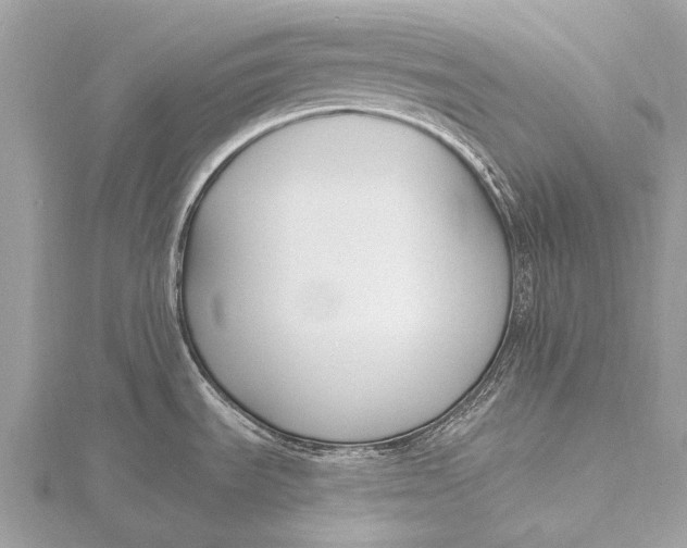 X0000115771535200912041421