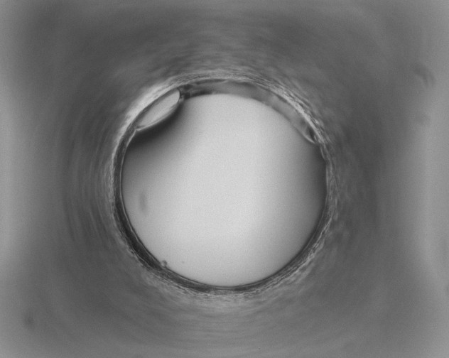 X0000115770008200912111116