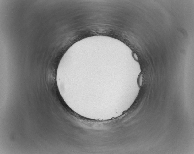 X0000115770040200912111115