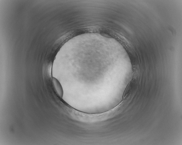 X0000115770047200912111115