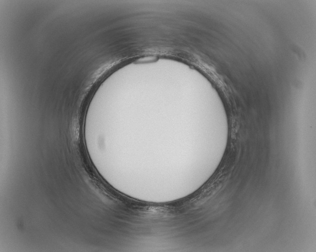 X0000115770060200912111115