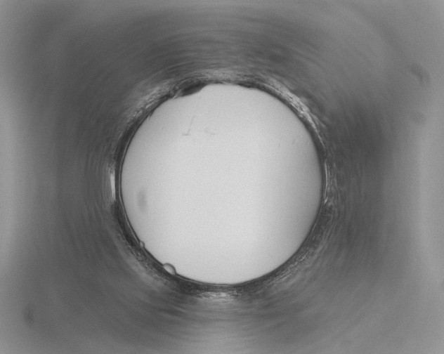 X0000115770061200912111115