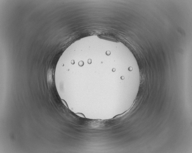 X0000115770094200912111115