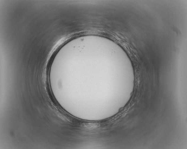 X0000115770102200912111114