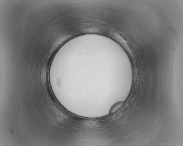 X0000115770106200912111114