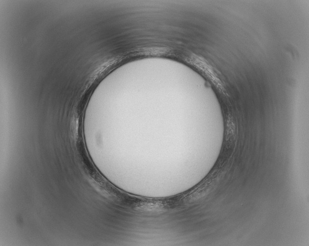 X0000115770110200912111114