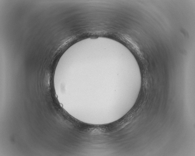 X0000115770115200912111114
