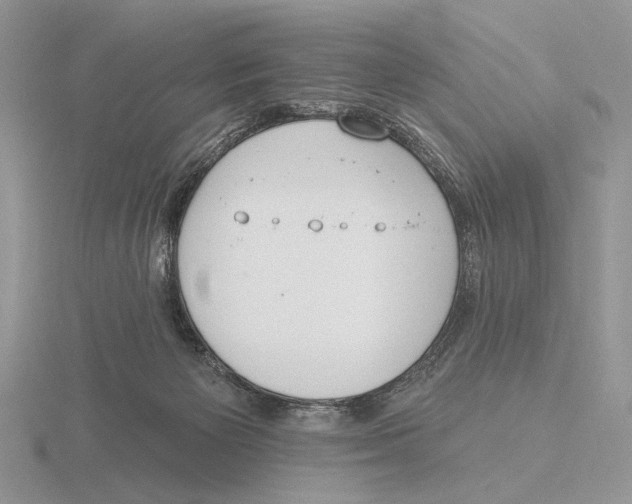 X0000115770125200912111114