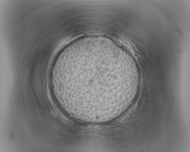 X0000115770145200912111113