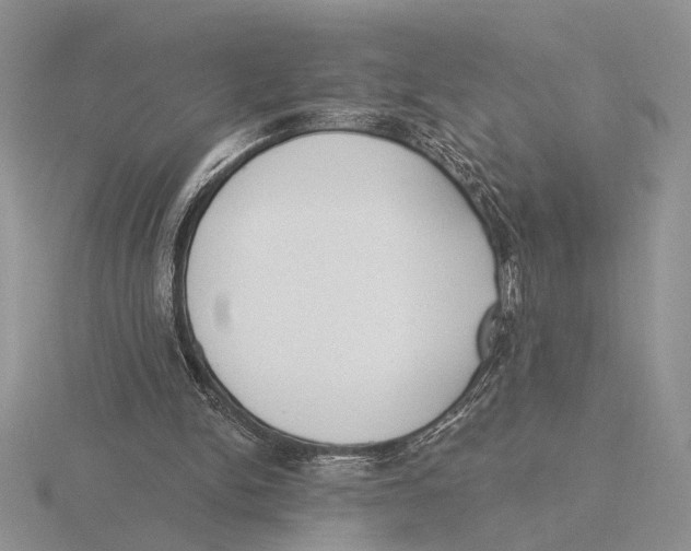 X0000115770150200912111113