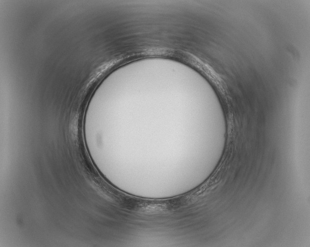 X0000115770155200912111113