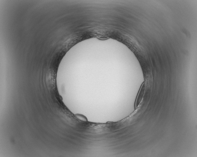 X0000115770186200912111114