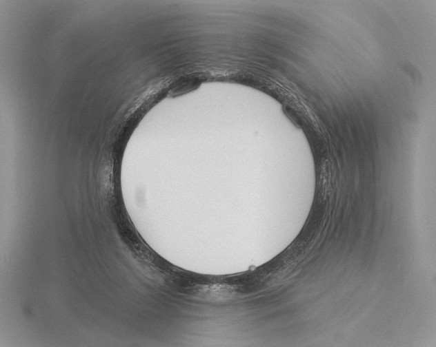 X0000115770212200912111113