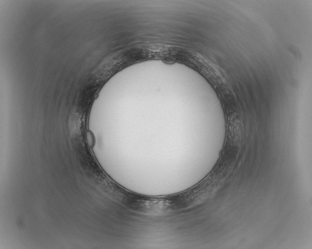 X0000115770225200912111113