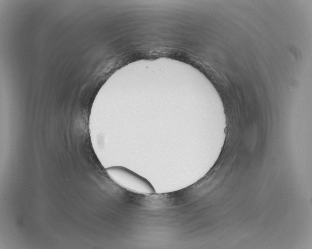 X0000115770240200912111113