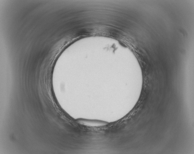 X0000115770241200912111112