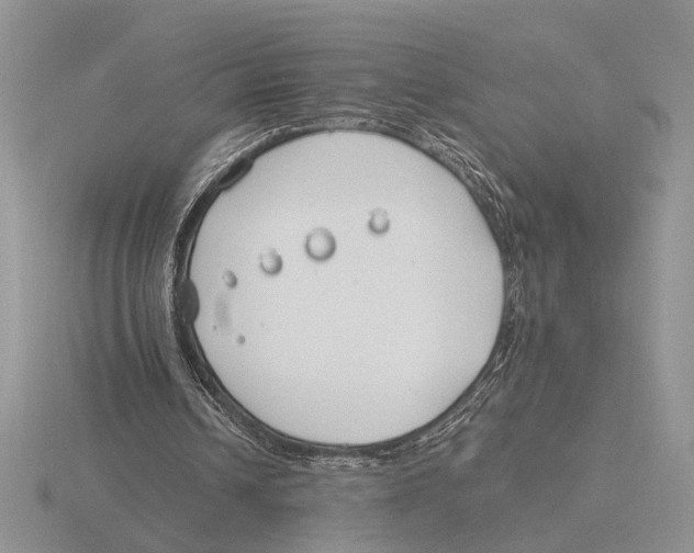 X0000115770242200912111112