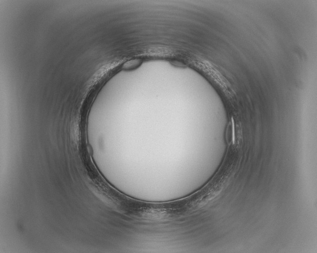 X0000115770252200912111112