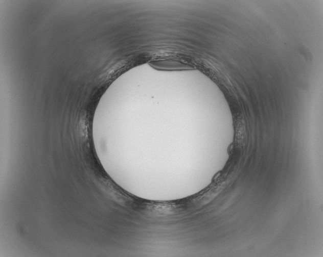 X0000115770282200912111112