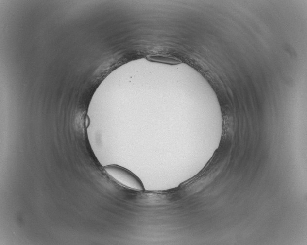 X0000115770286200912111113