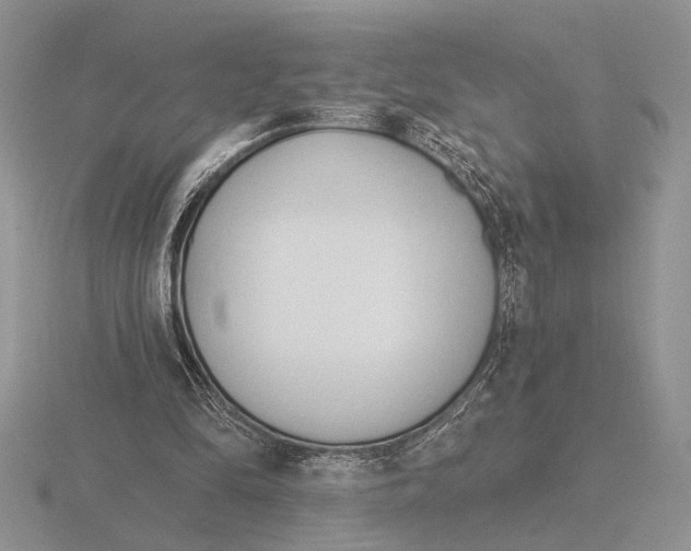 X0000115770294200912111112