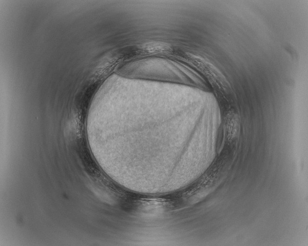 X0000115770316200912111112
