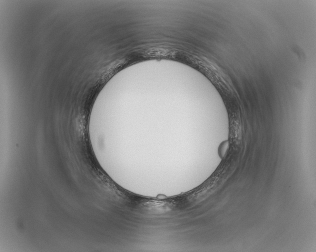 X0000115770326200912111111