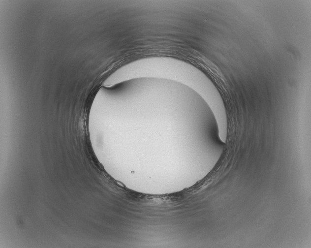 X0000115770329200912111111