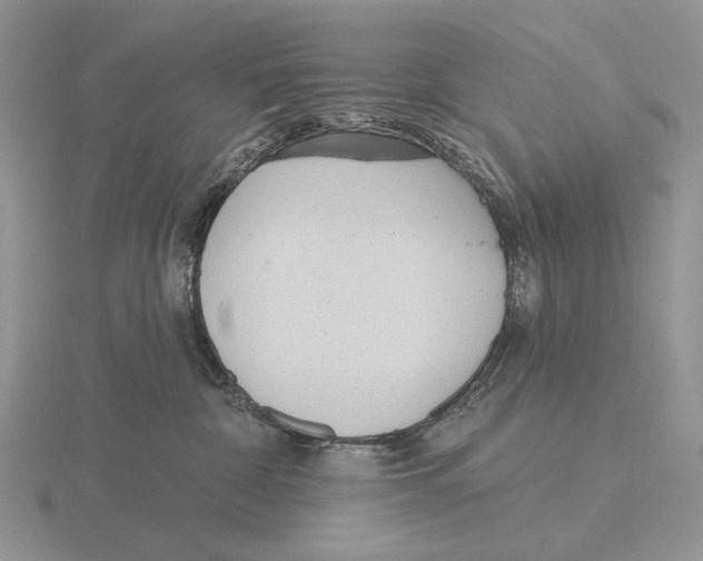 X0000115770332200912111111