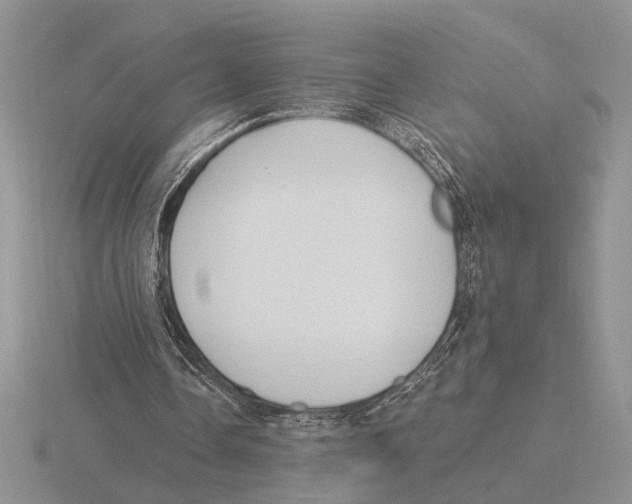 X0000115770338200912111111