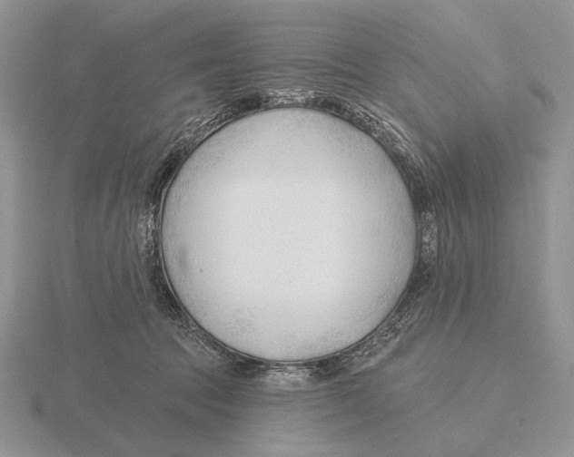 X0000115770369200912111111